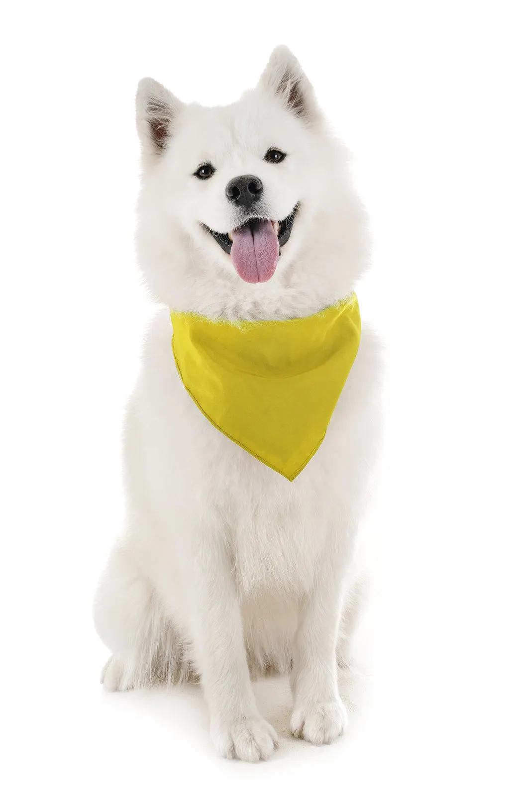 4 Pack Polyester Solid Dog Bandanas - Fast FREE Shipping