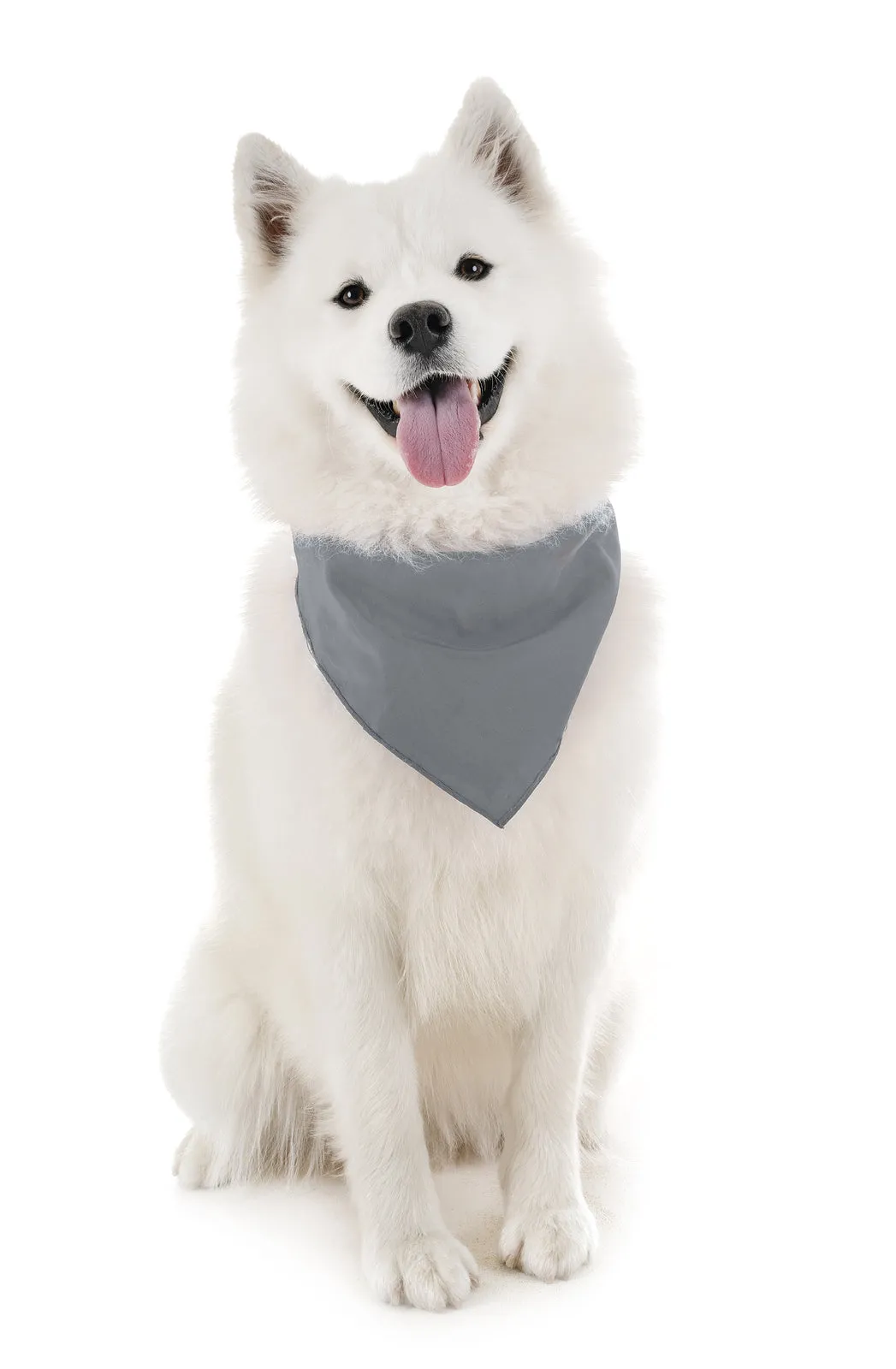 4 Pack Polyester Solid Dog Bandanas - Fast FREE Shipping