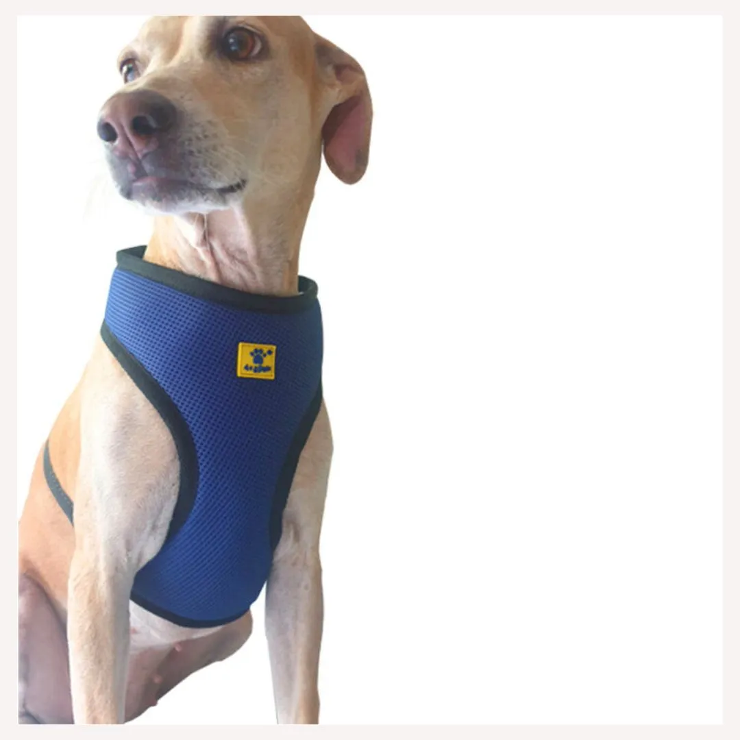 A A Pets' Air Mesh Quick Dry Vest Style Harness