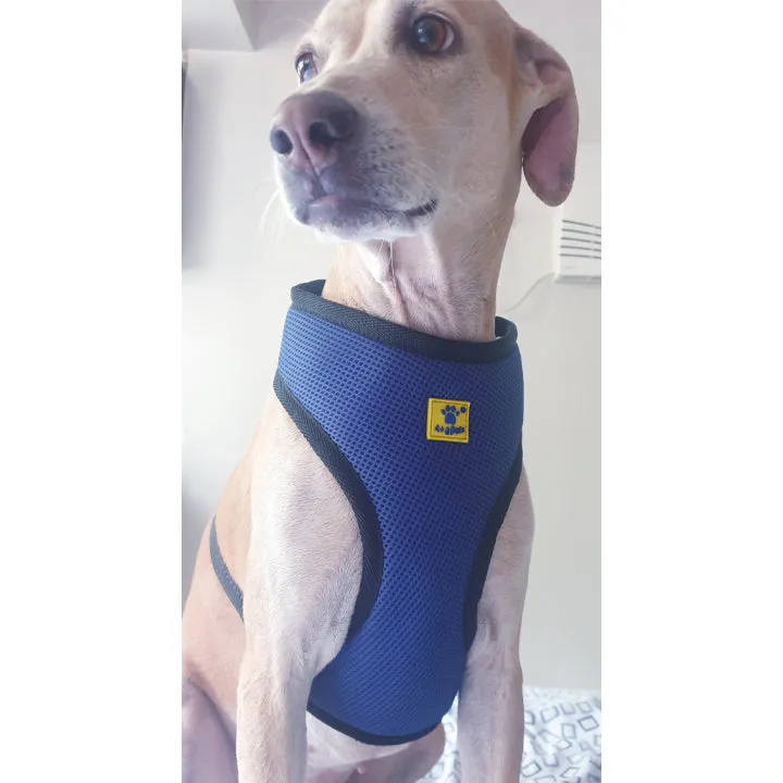 A A Pets' Air Mesh Quick Dry Vest Style Harness