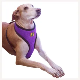 A A Pets' Air Mesh Quick Dry Vest Style Harness