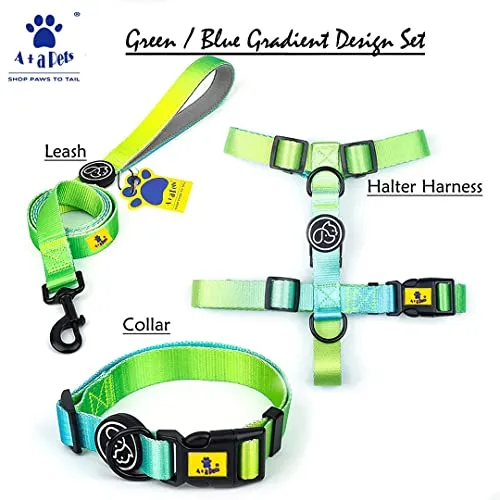A a Pets' Leash in Gradient Design - Green