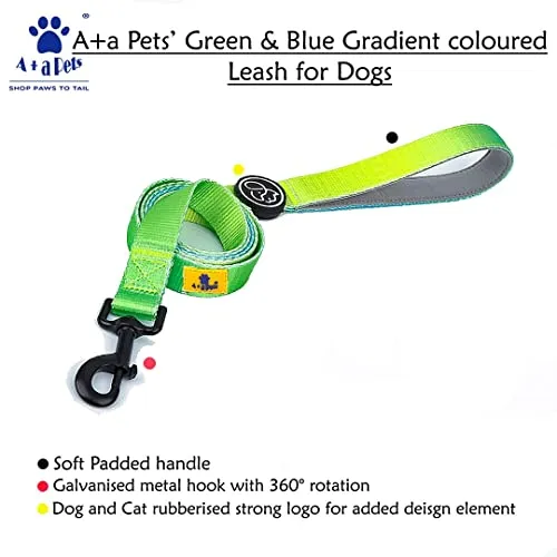 A a Pets' Leash in Gradient Design - Green
