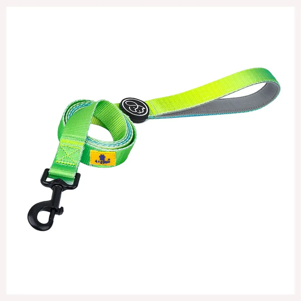 A a Pets' Leash in Gradient Design - Green