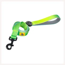 A a Pets' Leash in Gradient Design - Green