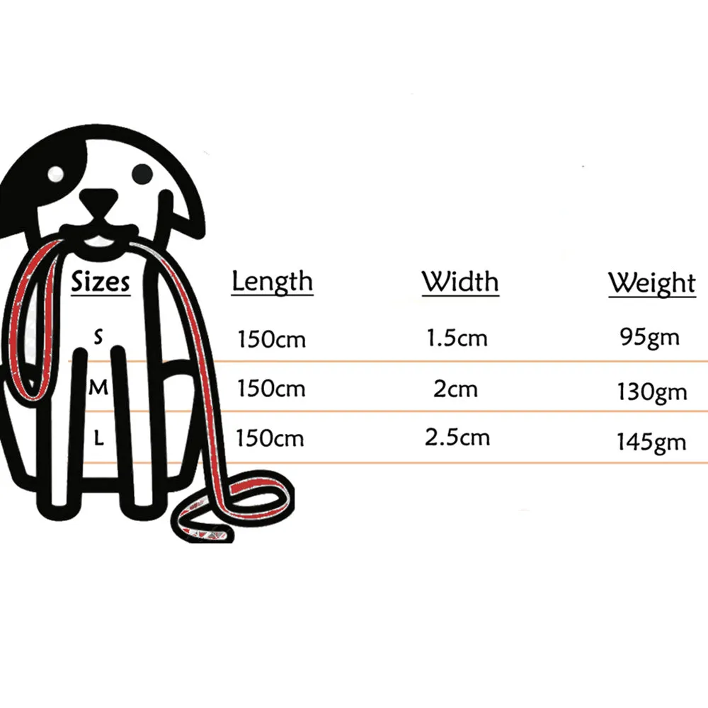 A a Pets' Leash in Gradient Design - Green