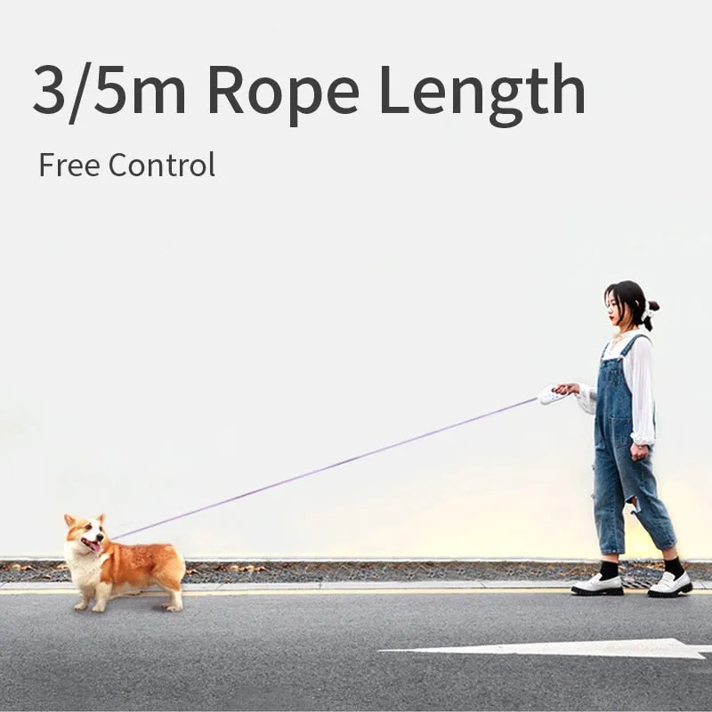 Automatic Retractable Light-up Dog Leash with built in flashlight