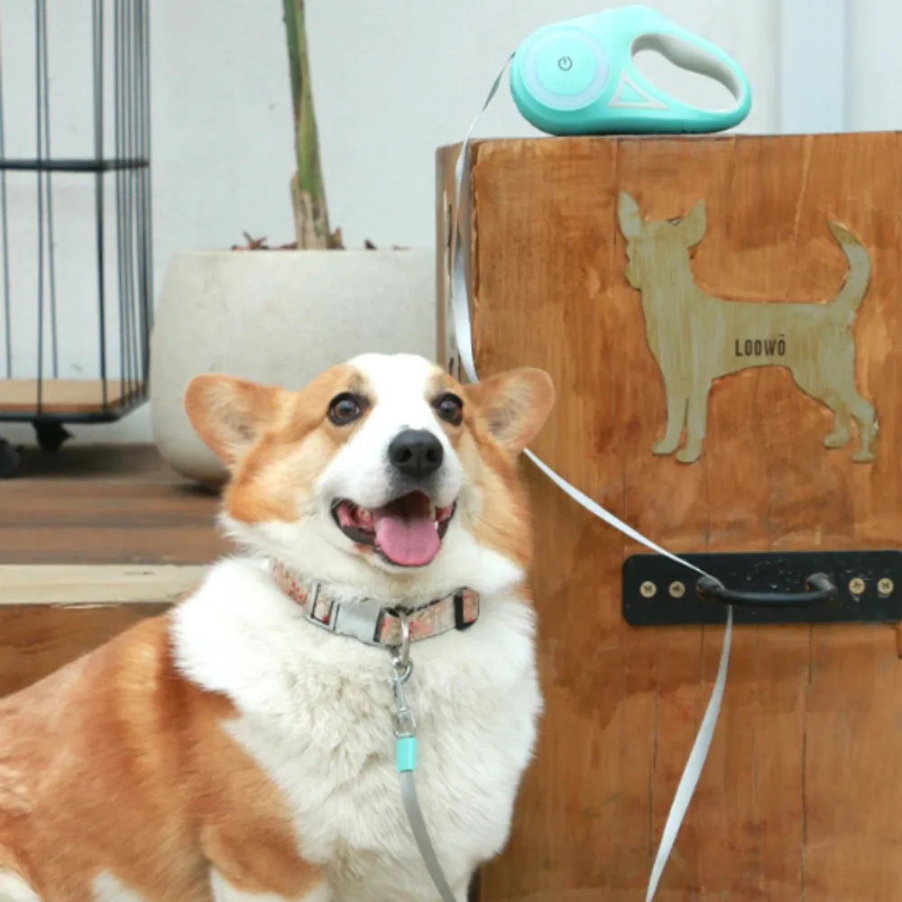 Automatic Retractable Light-up Dog Leash with built in flashlight
