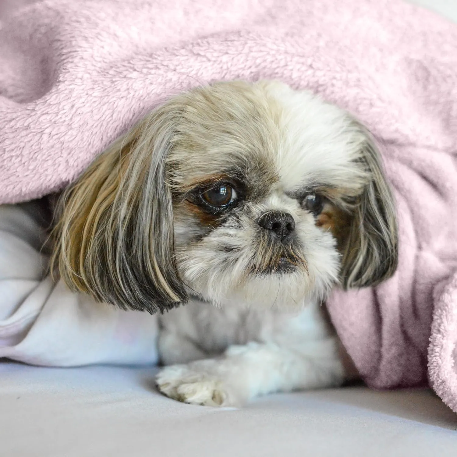 Baby Blanket - Lightweight Breathable Warm Cozy Soft Throw Blanket - Cradel Pink - 30x40 Inches