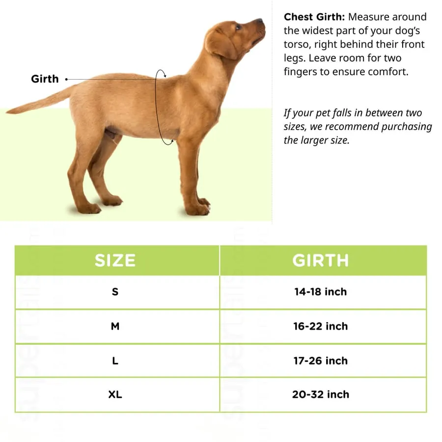 Basil Padded Step in Harness for dogs