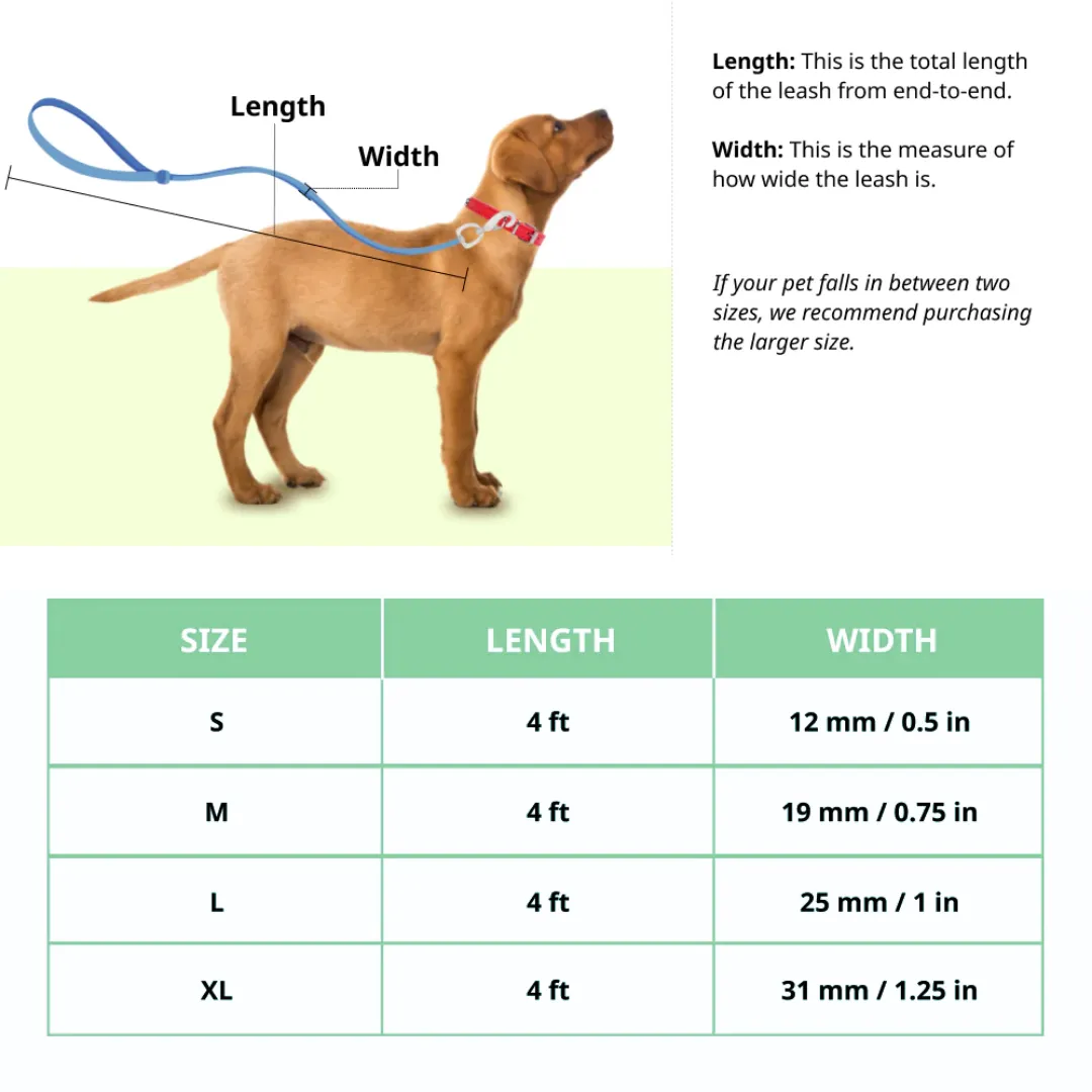 BASIL Pride Rainbow Padded Leash for Dogs & Puppies