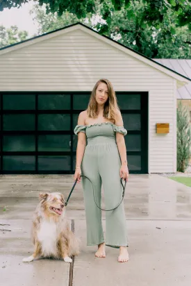 Big Dog Leash