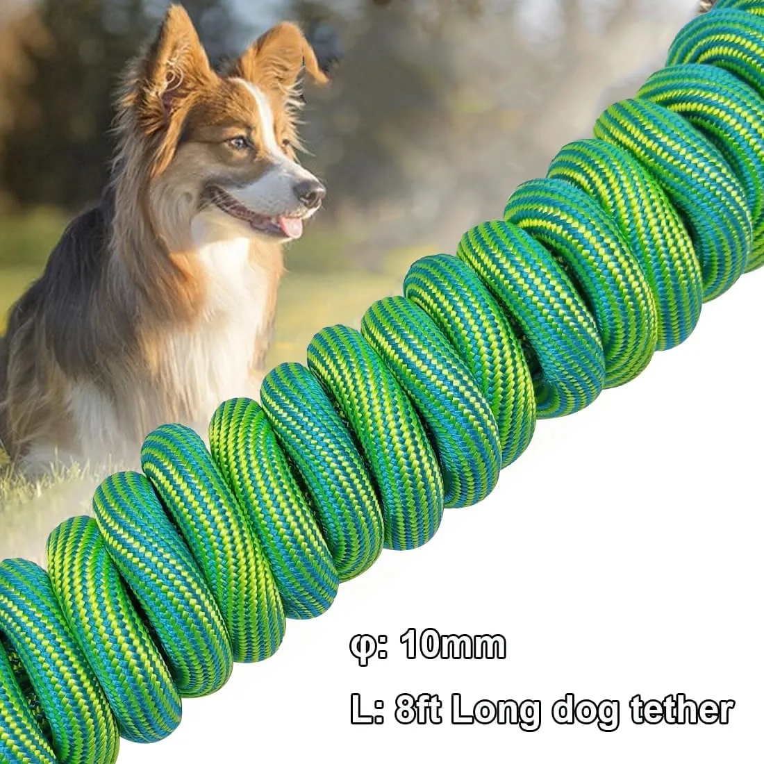 BTINESFUL 8ft 12ft 20ft 30ft 50ft 75ft Dog Tie-Out Long Tether Rope Leash, Outdoor Yard Leash- Large Medium Small Dogs Training, Playing, Camping, Backyard