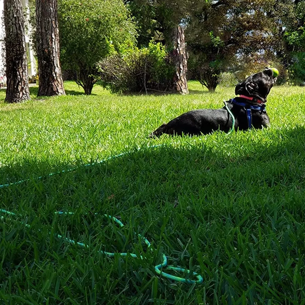 BTINESFUL 8ft 12ft 20ft 30ft 50ft 75ft Dog Tie-Out Long Tether Rope Leash, Outdoor Yard Leash- Large Medium Small Dogs Training, Playing, Camping, Backyard