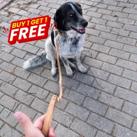 BUY 1 GET 1 FREE: Naturally Corked Pet Leash and Collar Set - Fits23-29cm L-1019