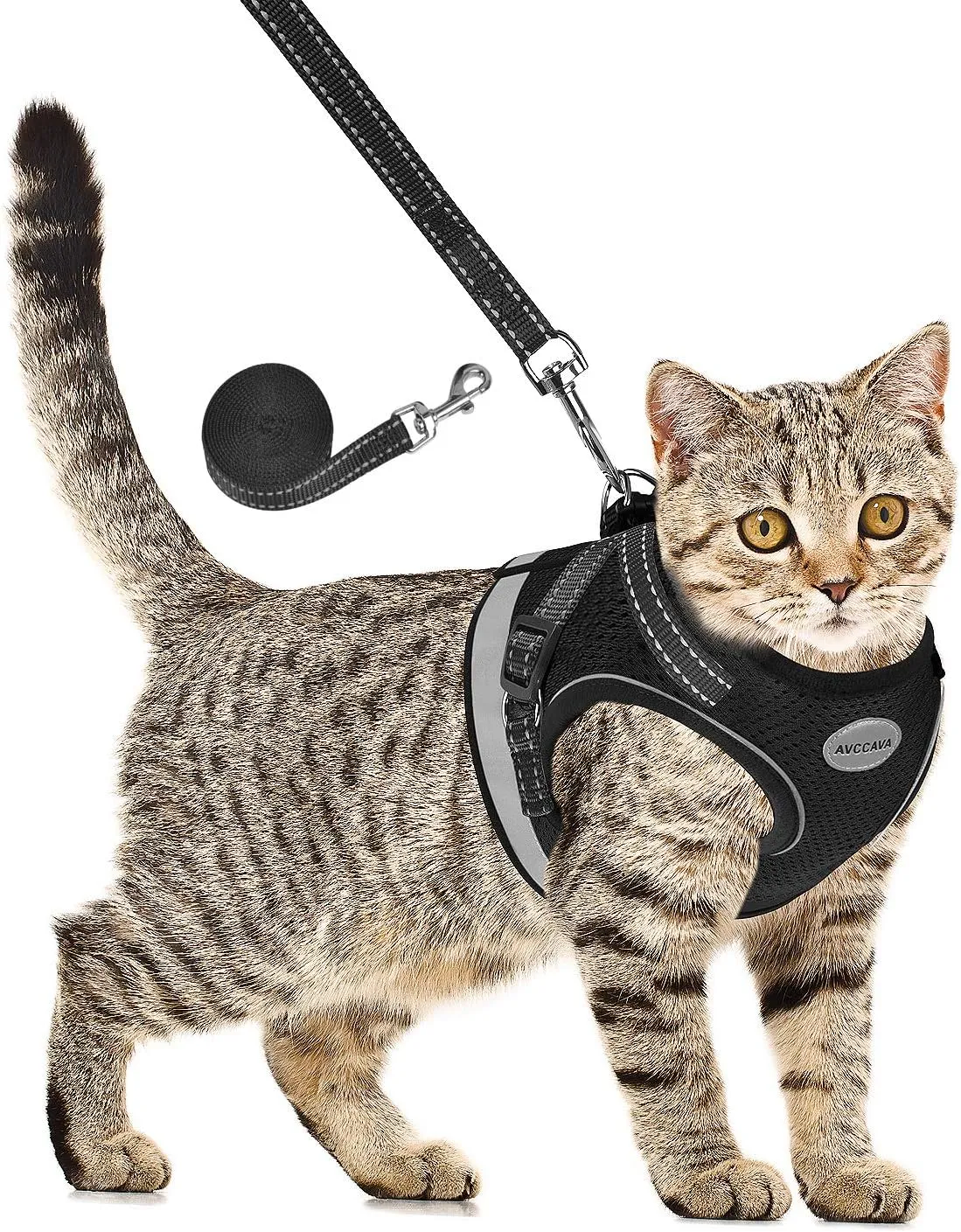 Cat Harness and Leash for Walking, Kitten Escape Proof Harnesses, Adjustable Reflective Puppy Harness with Leashes Set, Easy Adjustable Soft net Breathable Pet Safety Vest Black