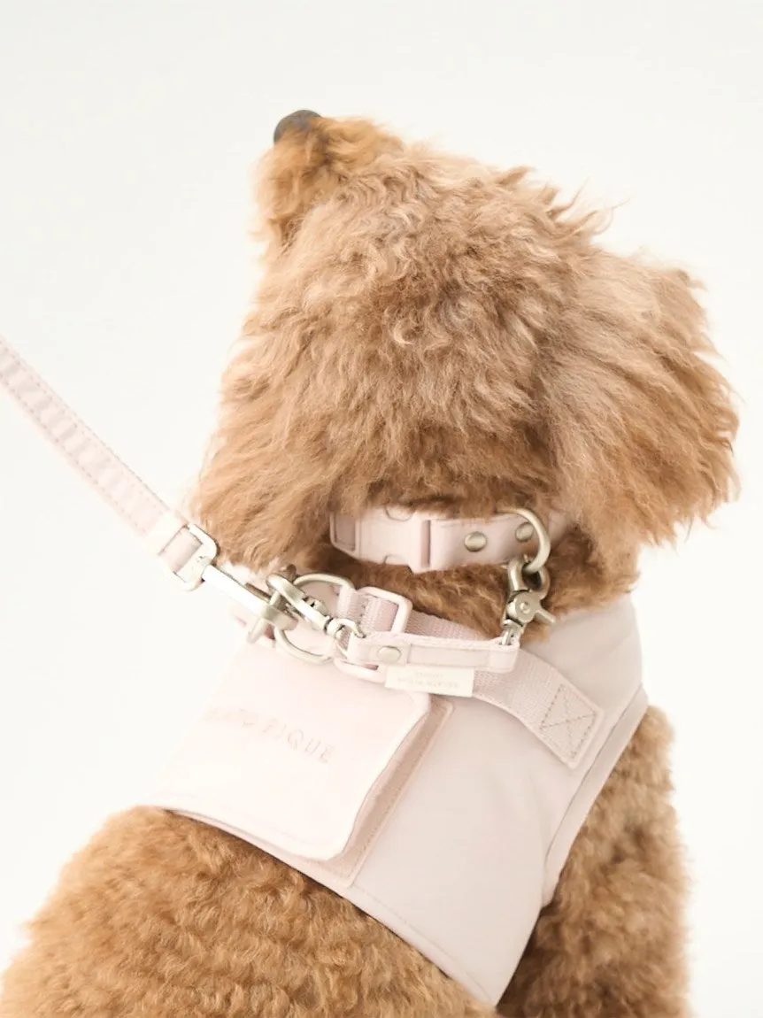 CAT&DOG Pet Leash