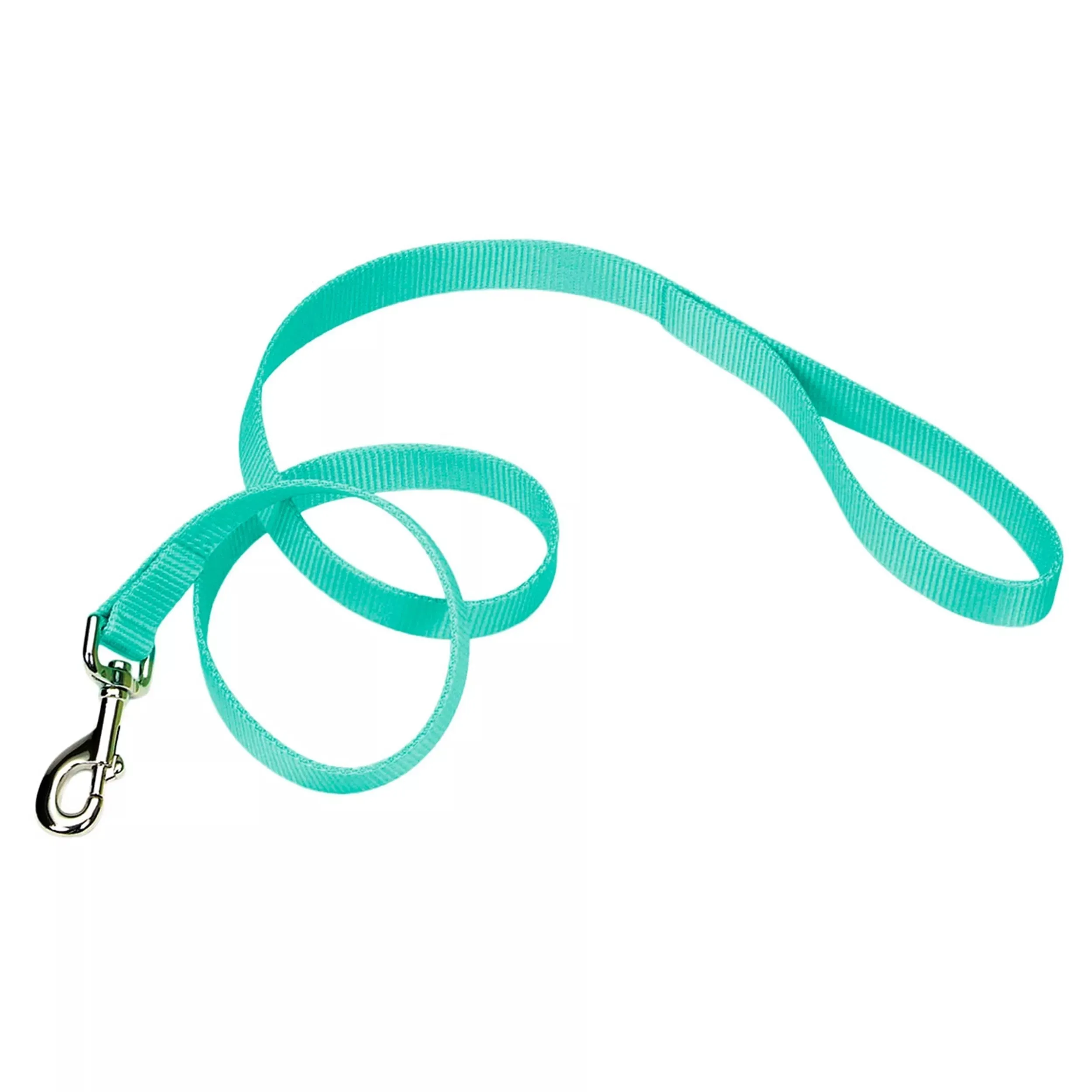 Coastal Single-Ply Dog Leash (Large - 1" x 6', Black)