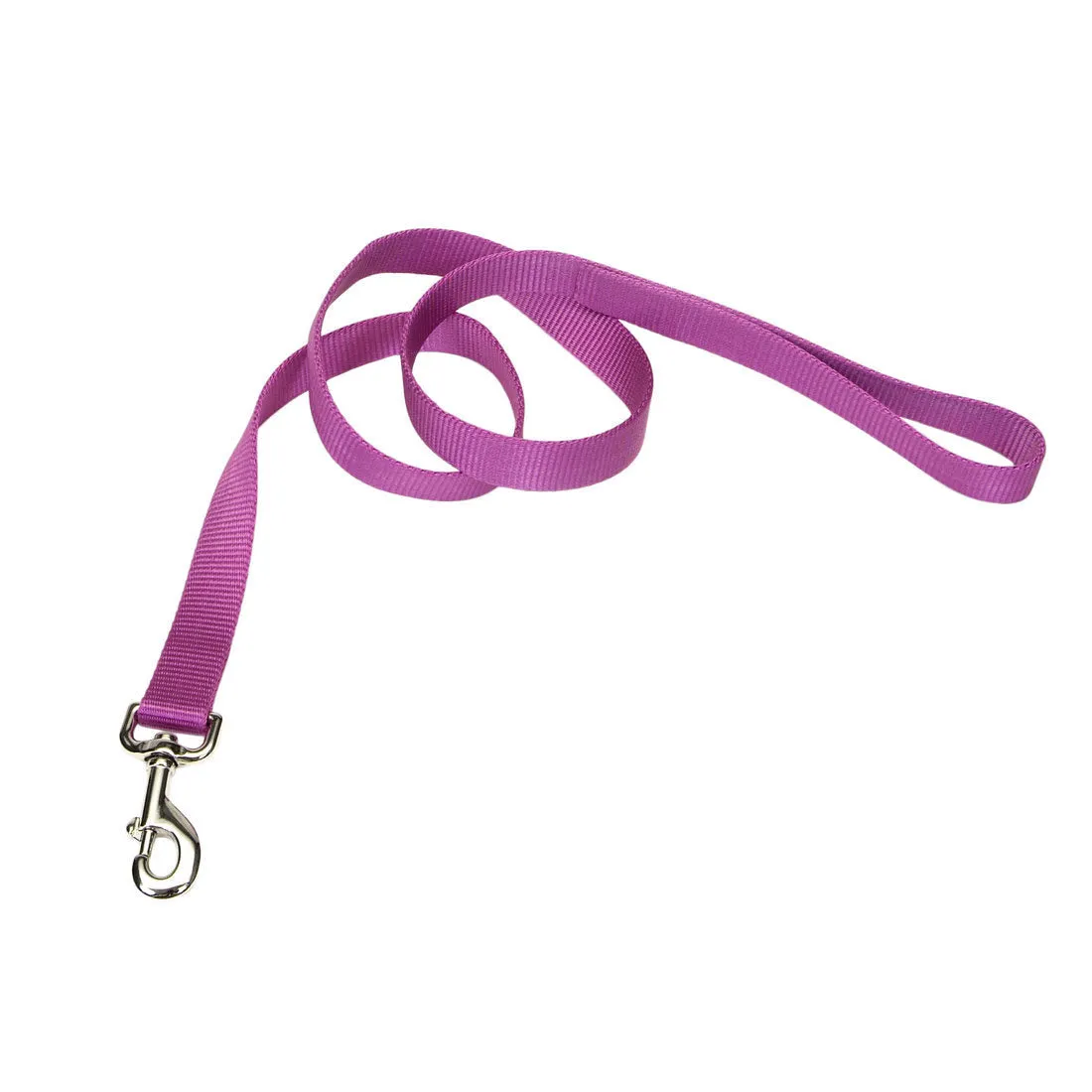 Coastal Single-Ply Dog Leash (Large - 1" x 6', Black)