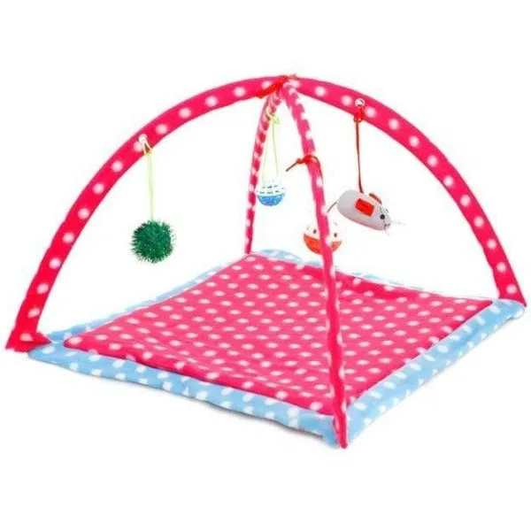 Comfortable Foldable Playing Cat Tent