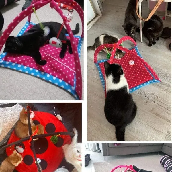 Comfortable Foldable Playing Cat Tent