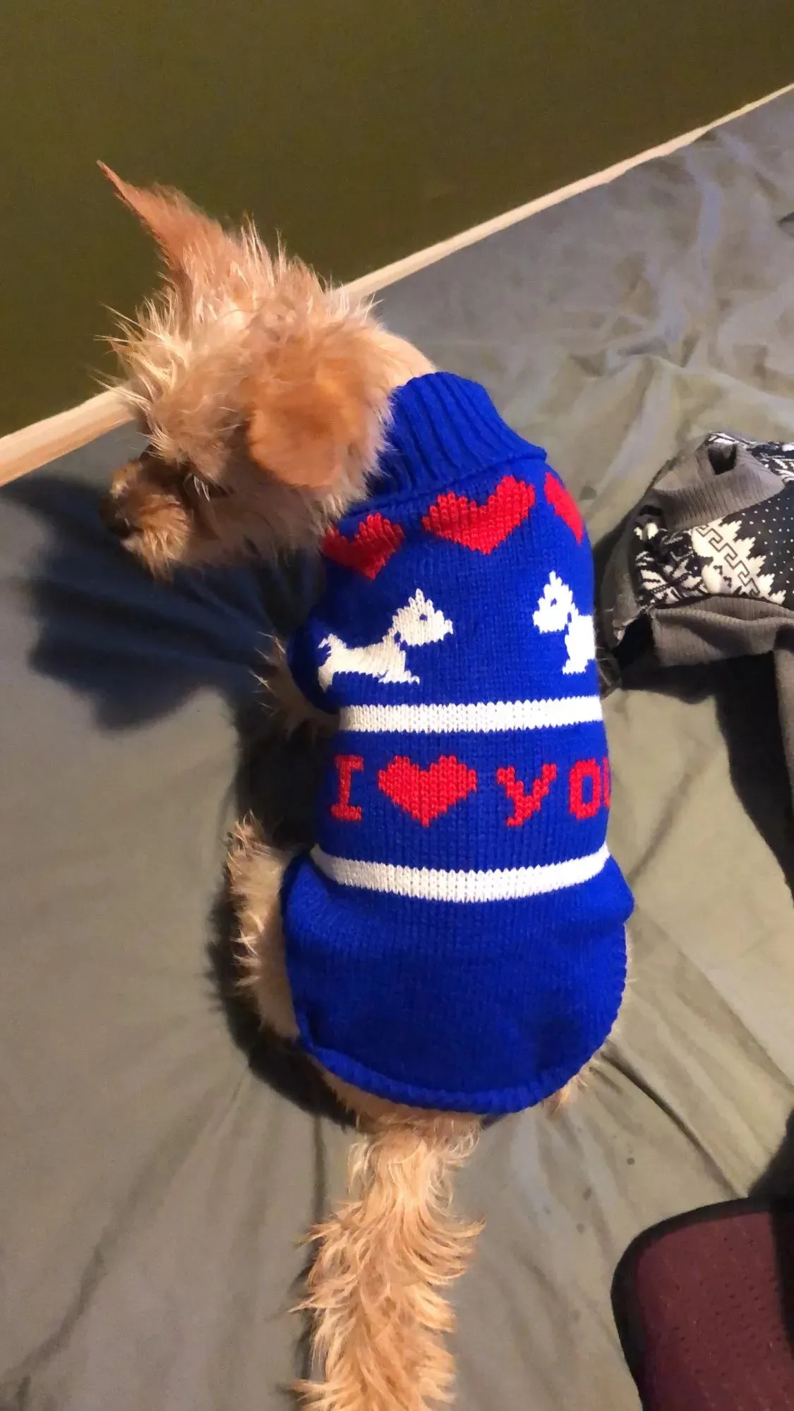 Cozy Knitted Sweater for Small to Medium Dogs and Cats