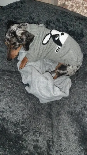 Cozy Knitted Sweater for Small to Medium Dogs and Cats