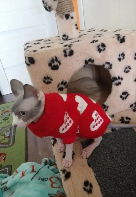 Cozy Knitted Sweater for Small to Medium Dogs and Cats