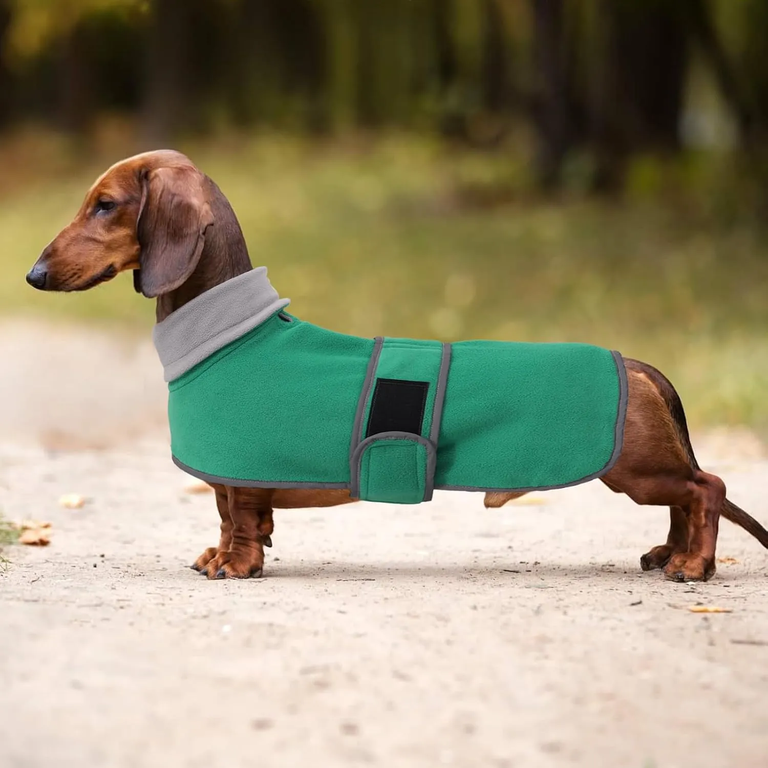 Dachshund Coats Sausage Dog Fleece Coat in Winter Miniature Dachshund Clothes with Hook and Loop Closure and high vis Reflective Trim Safety - Green - M
