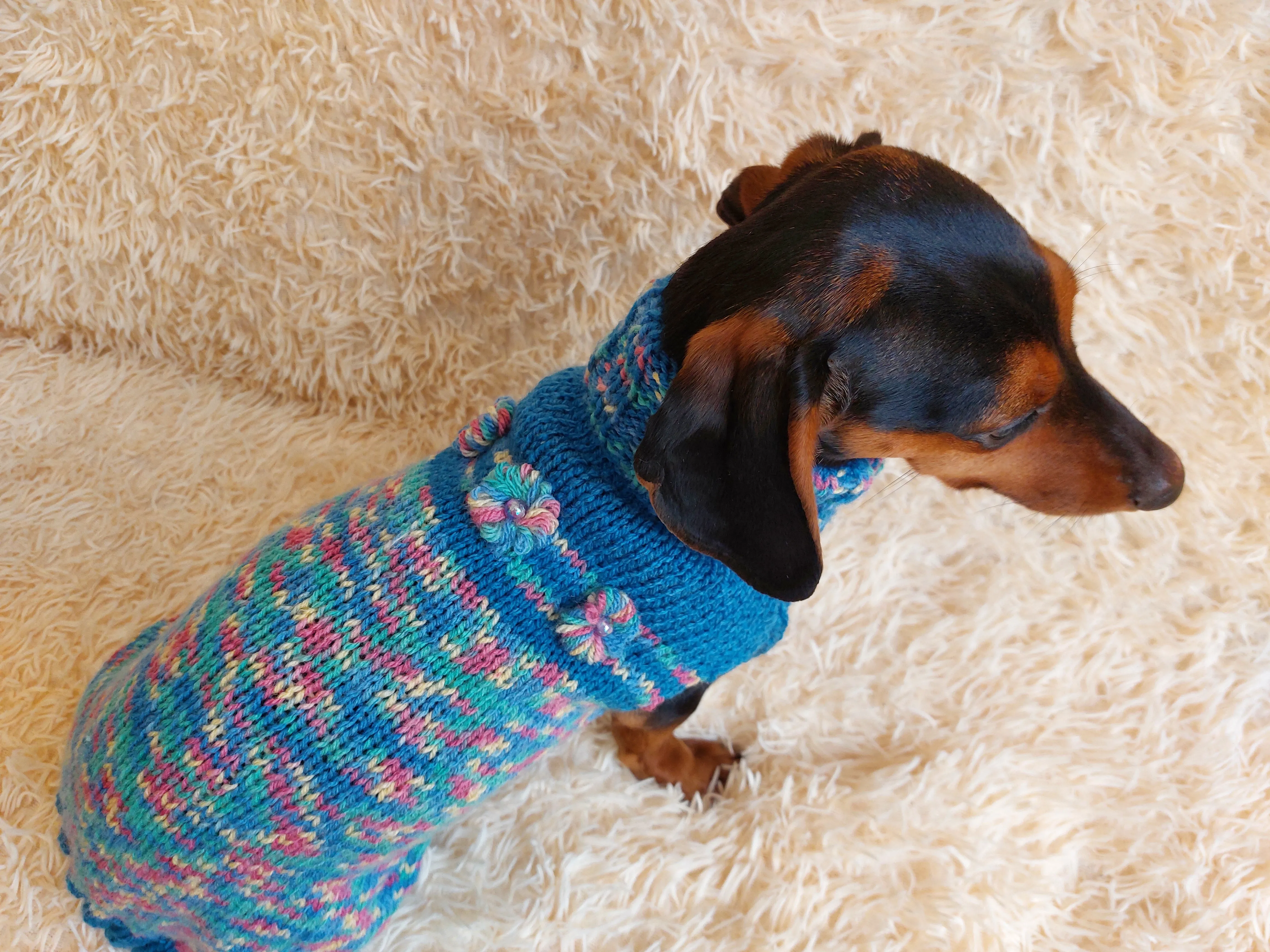 Dachshund Dog Pet Outfit Warm Rainbow Jumper With Flowers