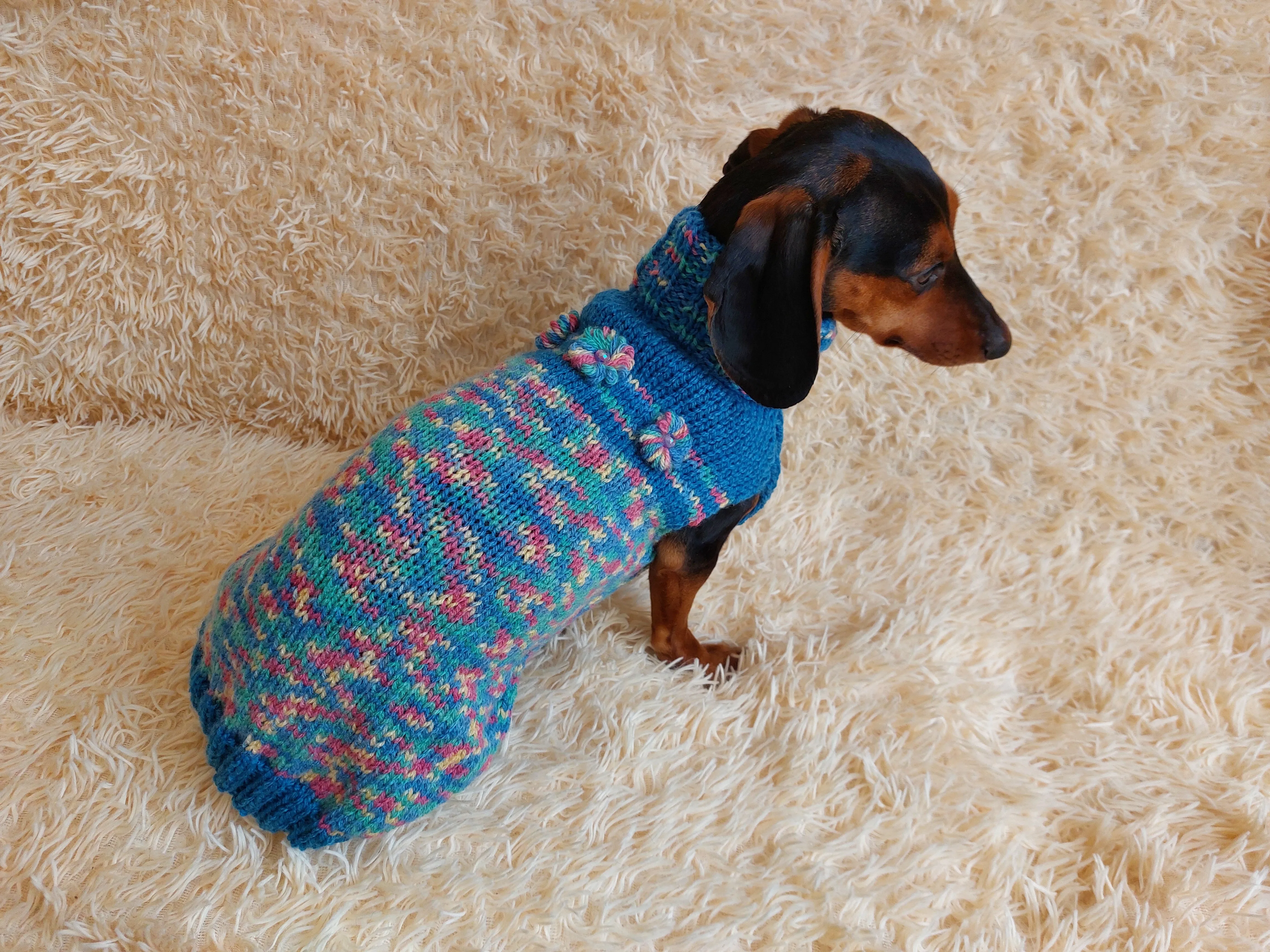 Dachshund Dog Pet Outfit Warm Rainbow Jumper With Flowers