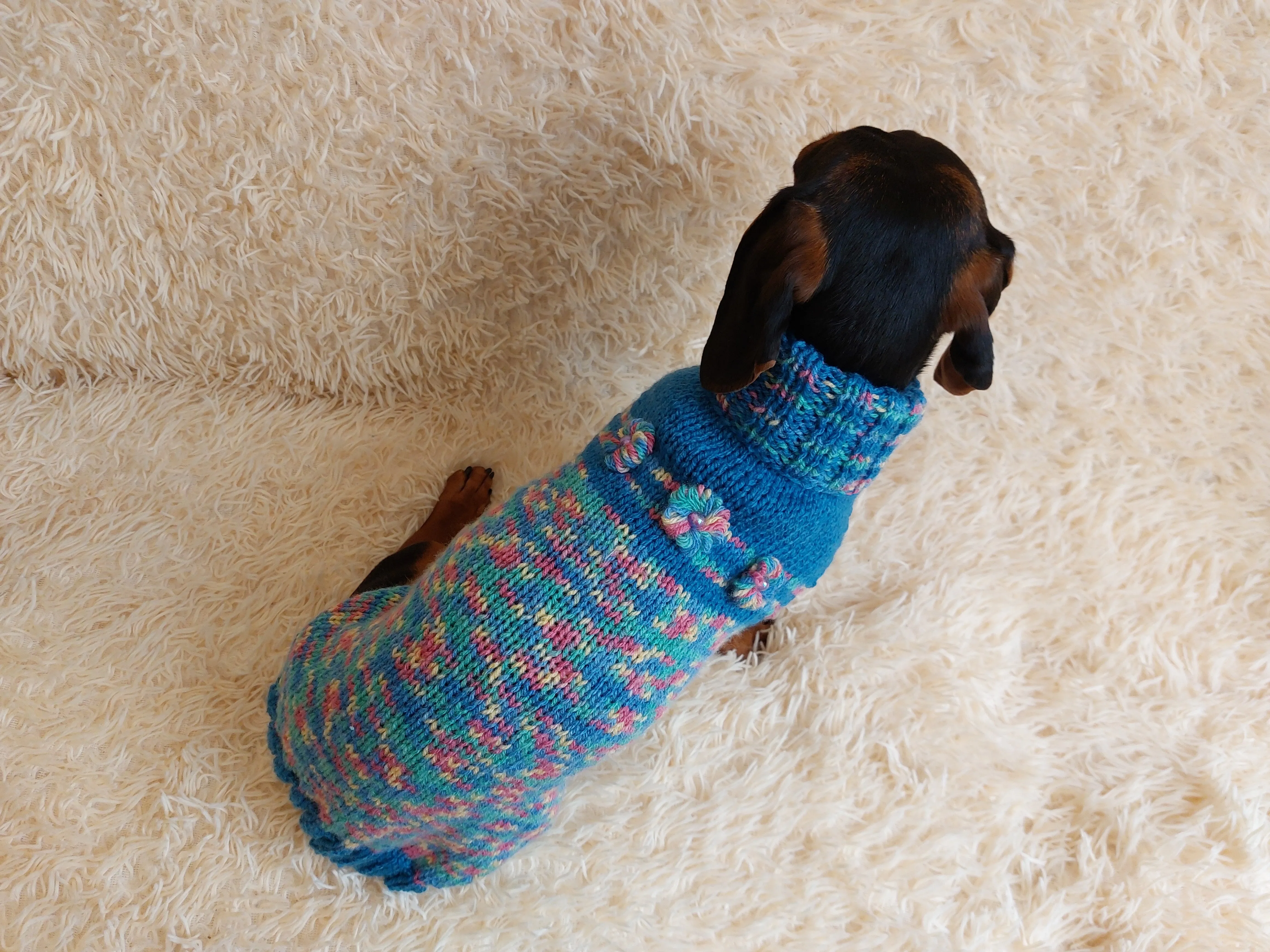 Dachshund Dog Pet Outfit Warm Rainbow Jumper With Flowers