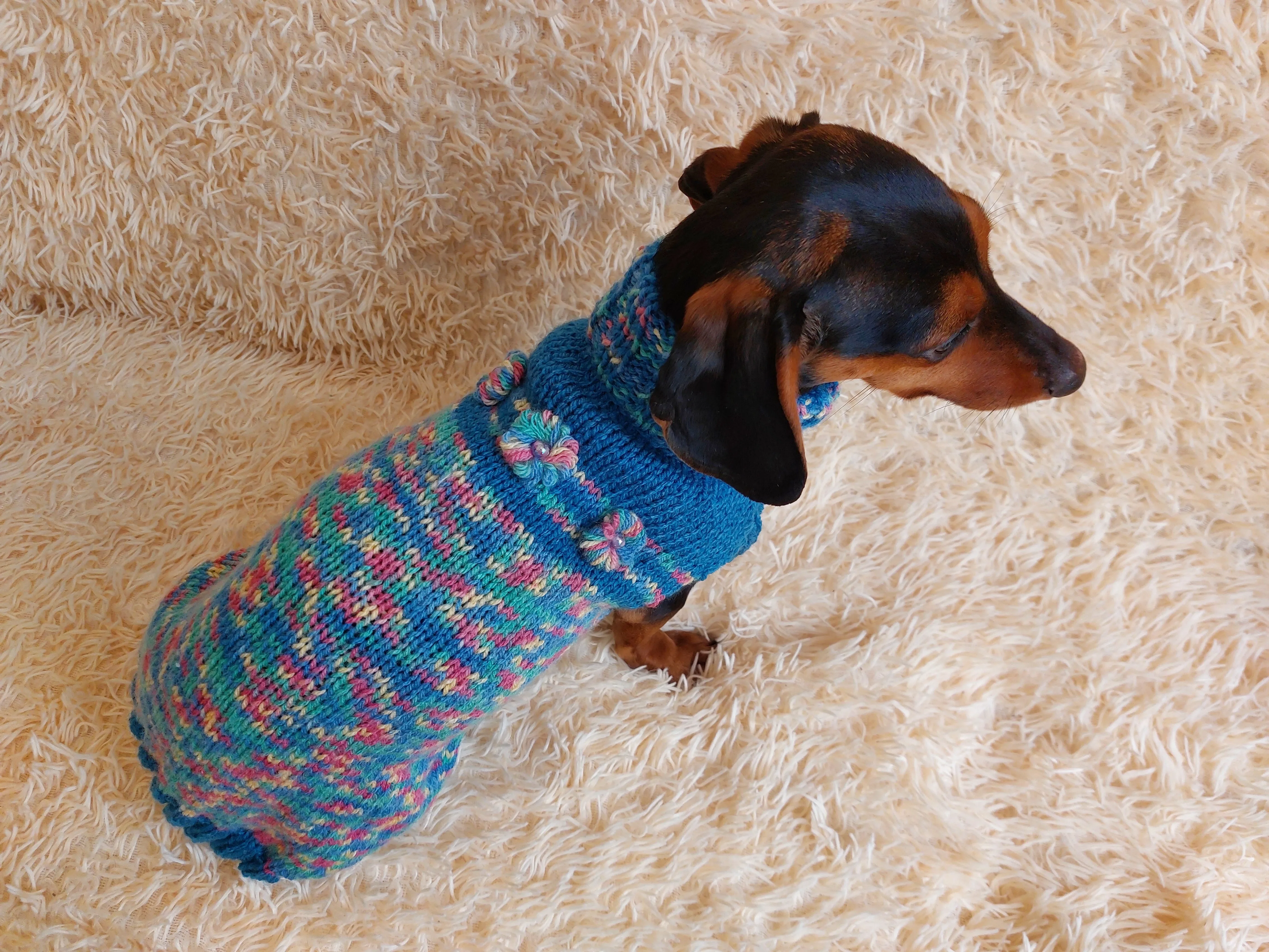 Dachshund Dog Pet Outfit Warm Rainbow Jumper With Flowers