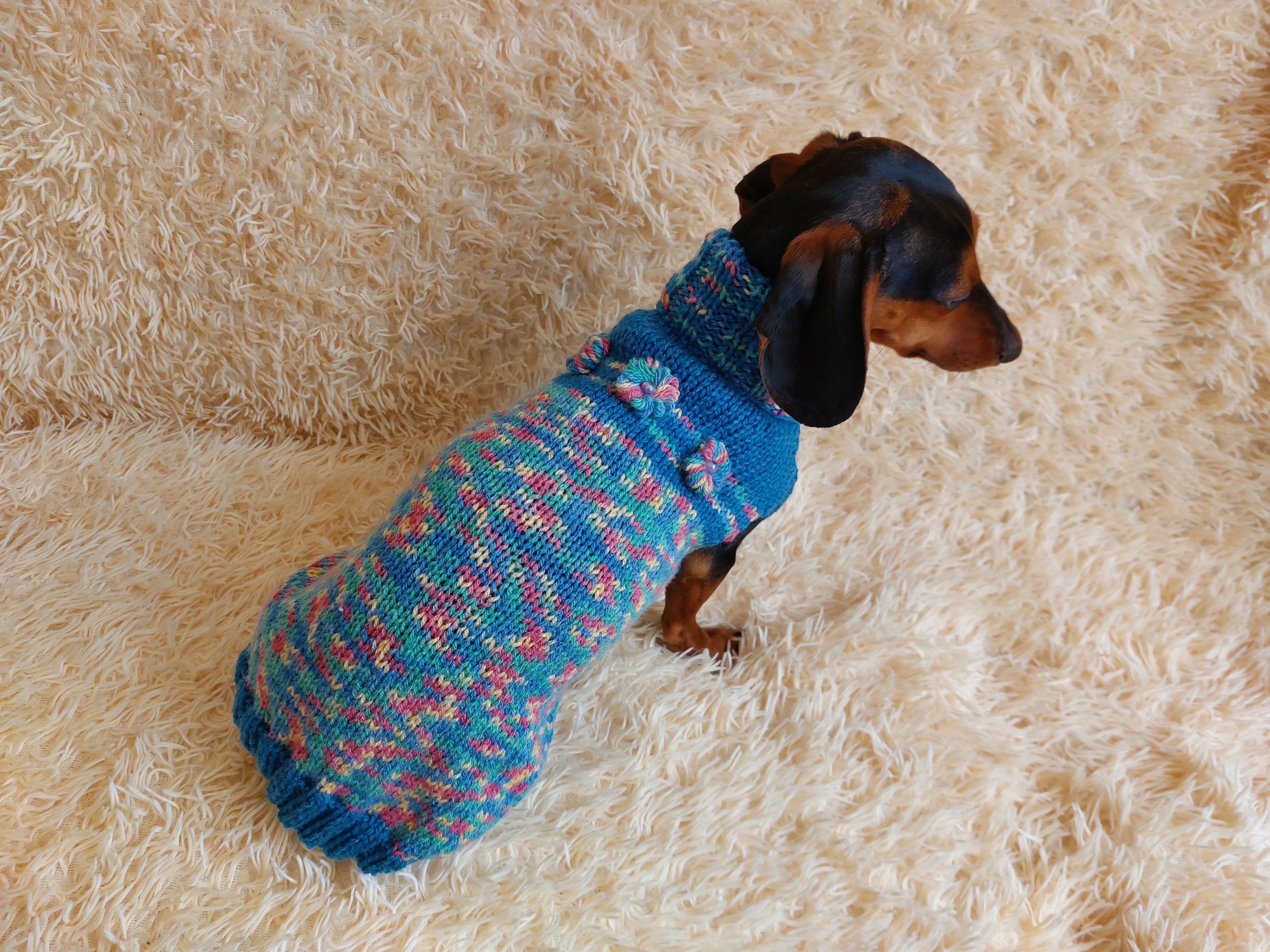 Dachshund Dog Pet Outfit Warm Rainbow Jumper With Flowers