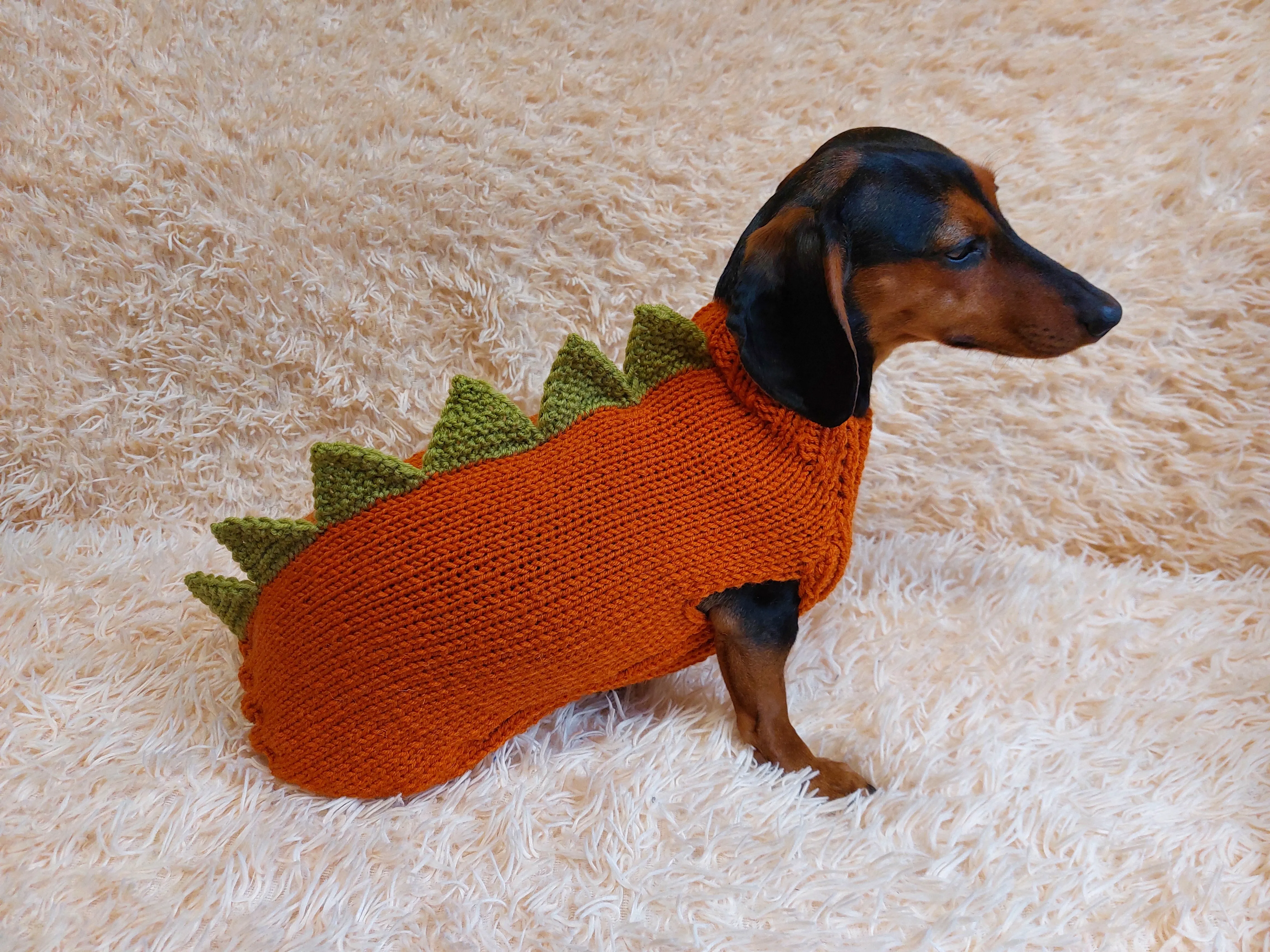 Dinosaur dragon  dog sweater zoo animal dog clothes