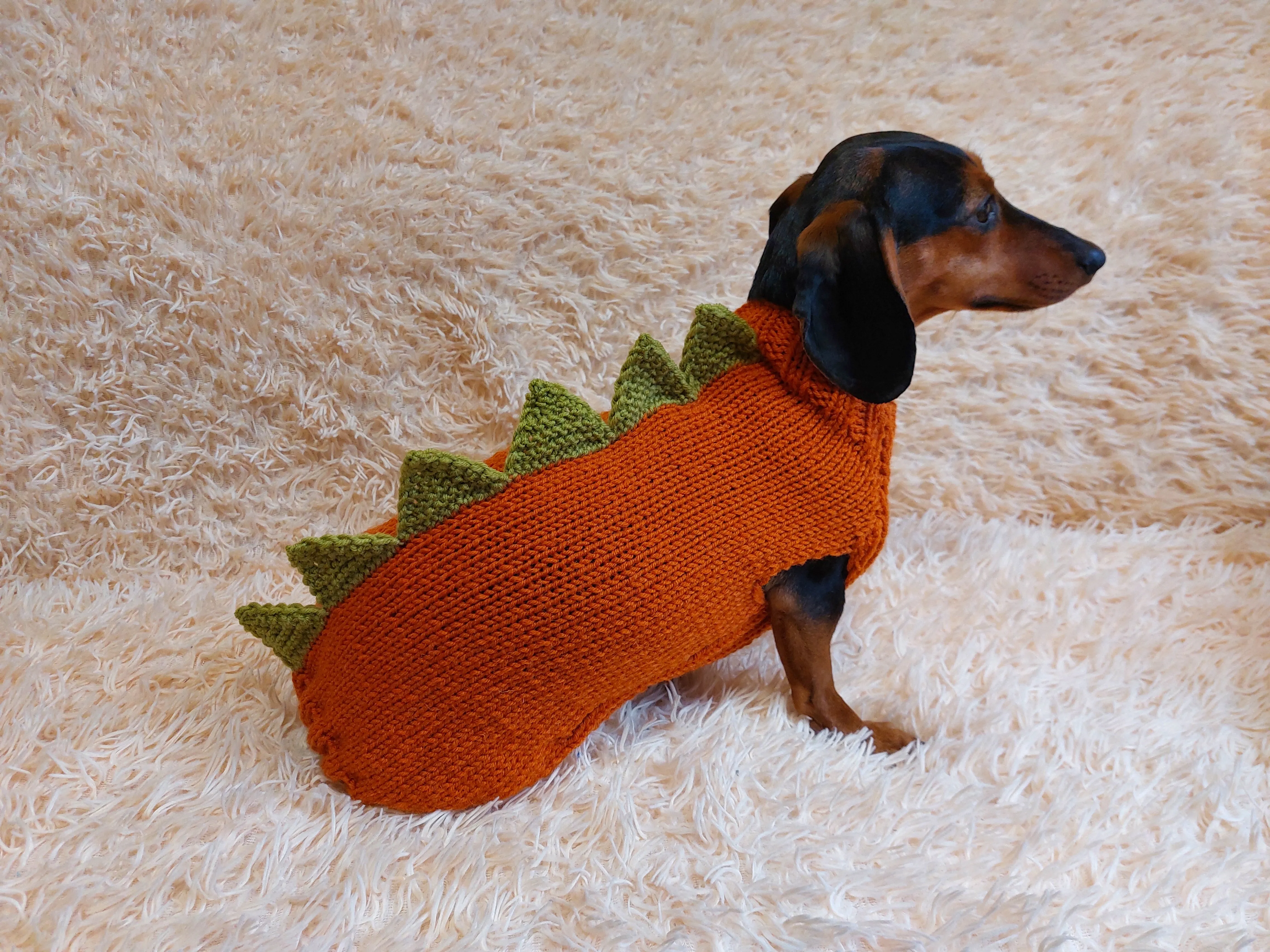 Dinosaur dragon  dog sweater zoo animal dog clothes