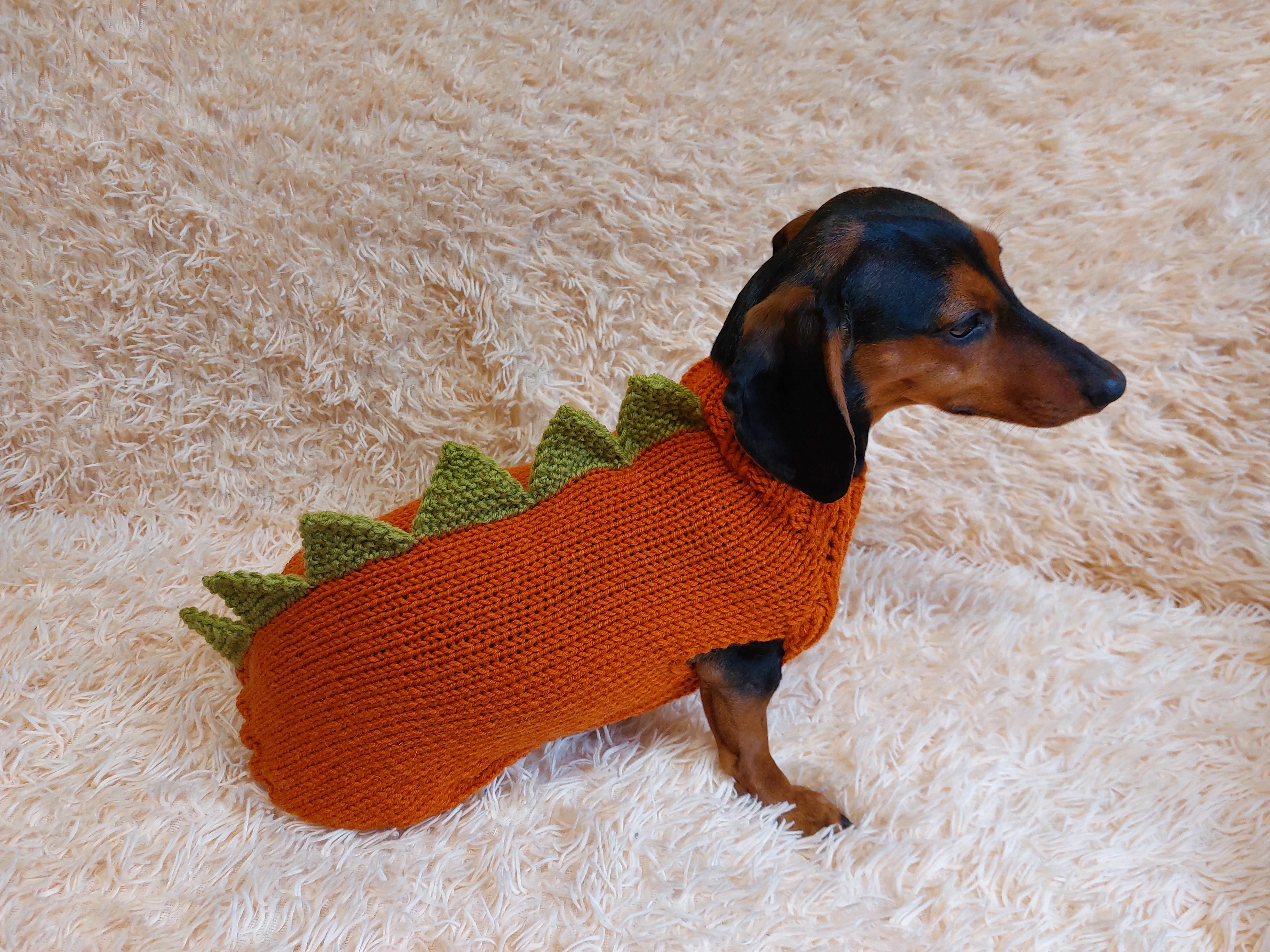 Dinosaur dragon  dog sweater zoo animal dog clothes