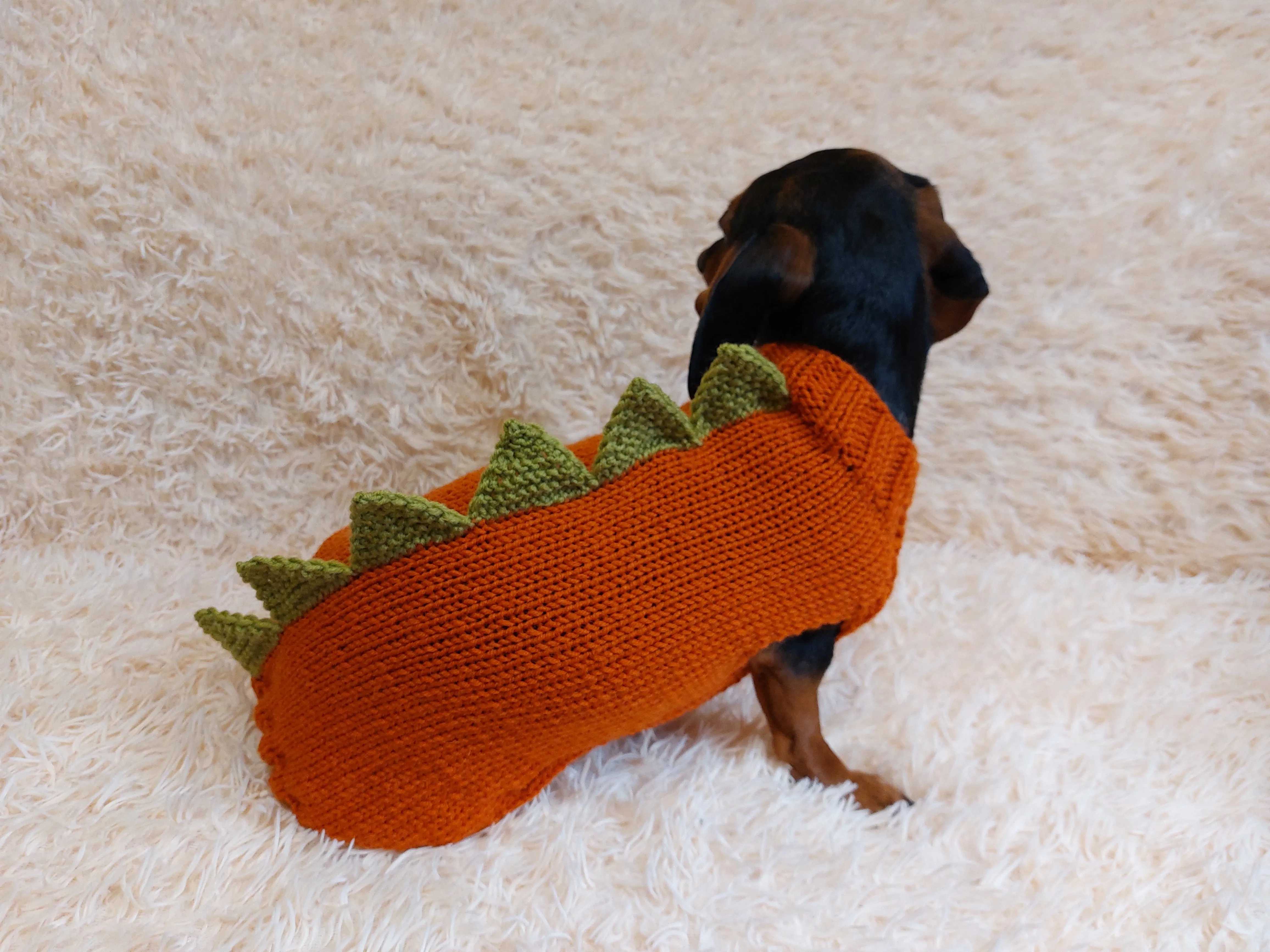 Dinosaur dragon  dog sweater zoo animal dog clothes