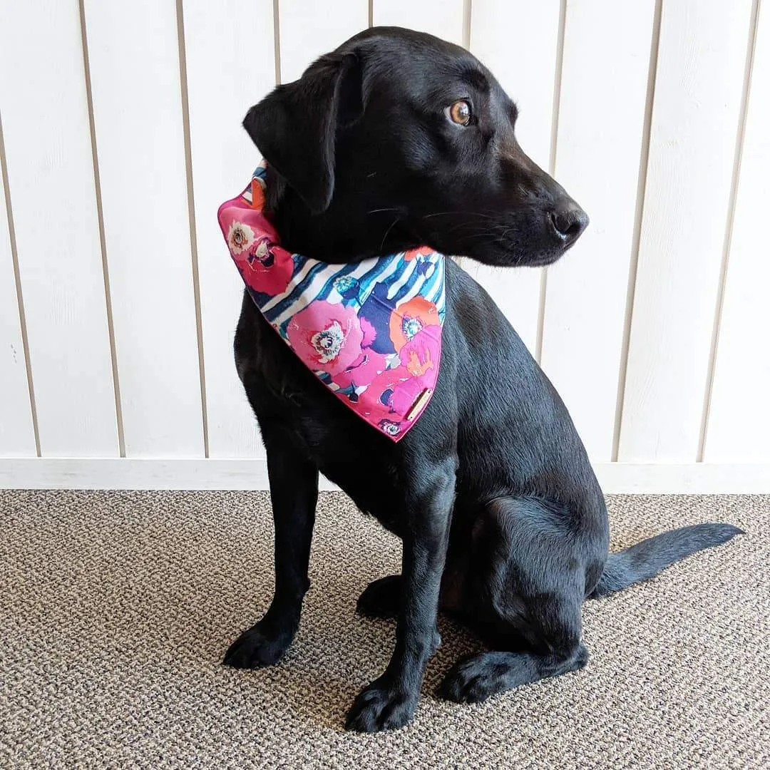 Dog and Cat Bandana: Water Colour Poppies