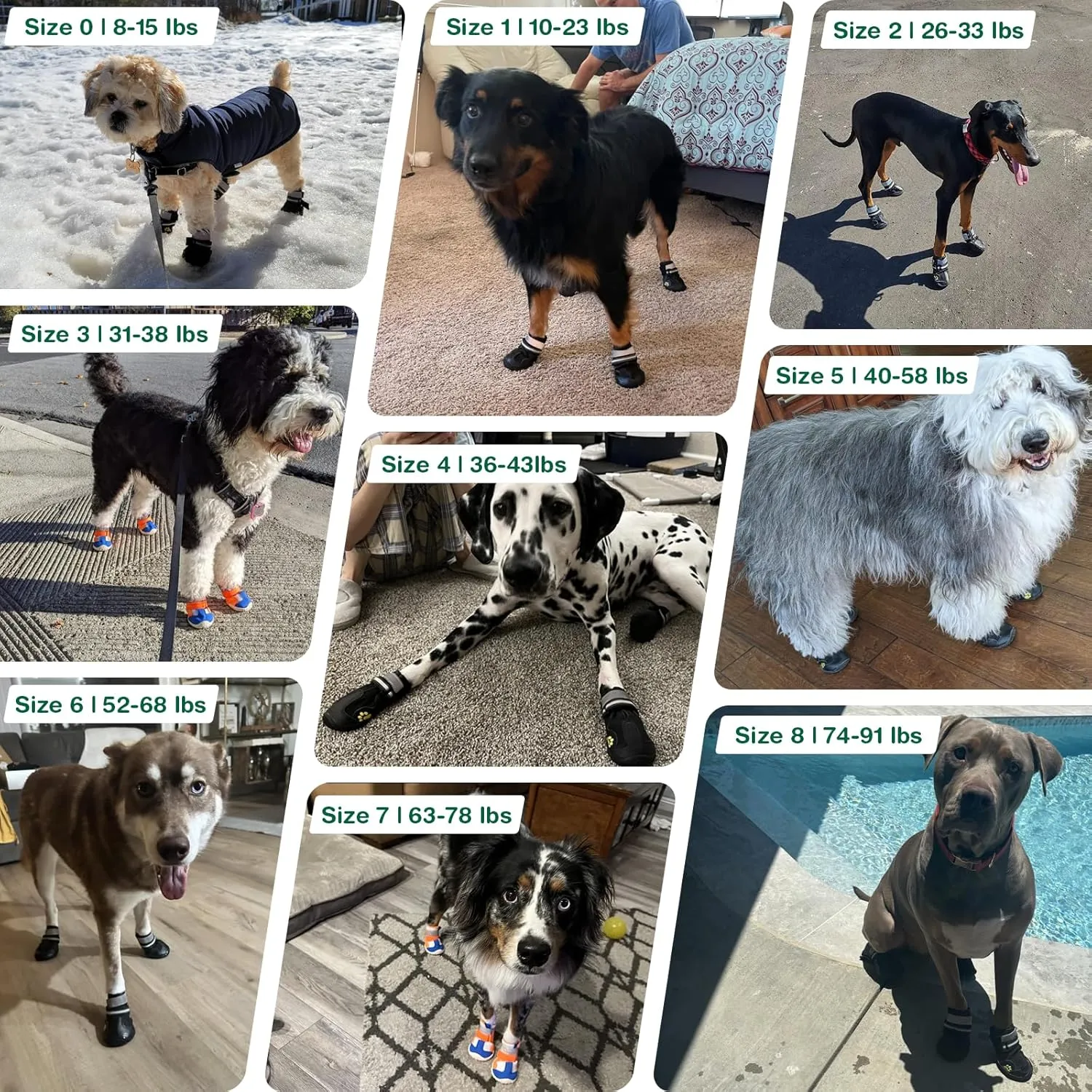 Dog Shoes for Large Dogs, Anti-Slip Dog Boots for Winter Snow, Hot Pavement, Dog Booties & Paw Protectors Size 6