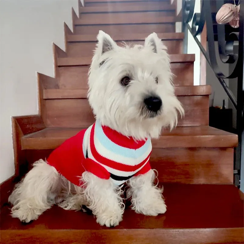 Dogs Sweater | Winter Knitted Dog Jumpers for Small & Large Dogs | Designer Warm Clothes for Chihuahua & Small Breeds | Christmas Pet Sweater