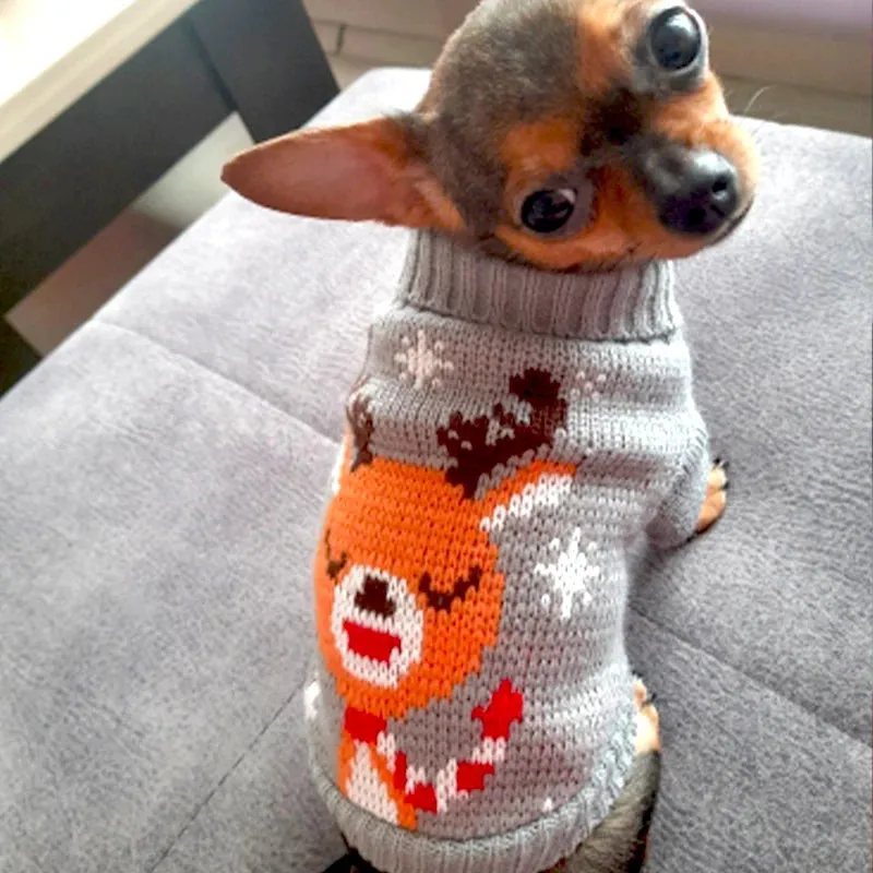 Dogs Sweater | Winter Knitted Dog Jumpers for Small & Large Dogs | Designer Warm Clothes for Chihuahua & Small Breeds | Christmas Pet Sweater