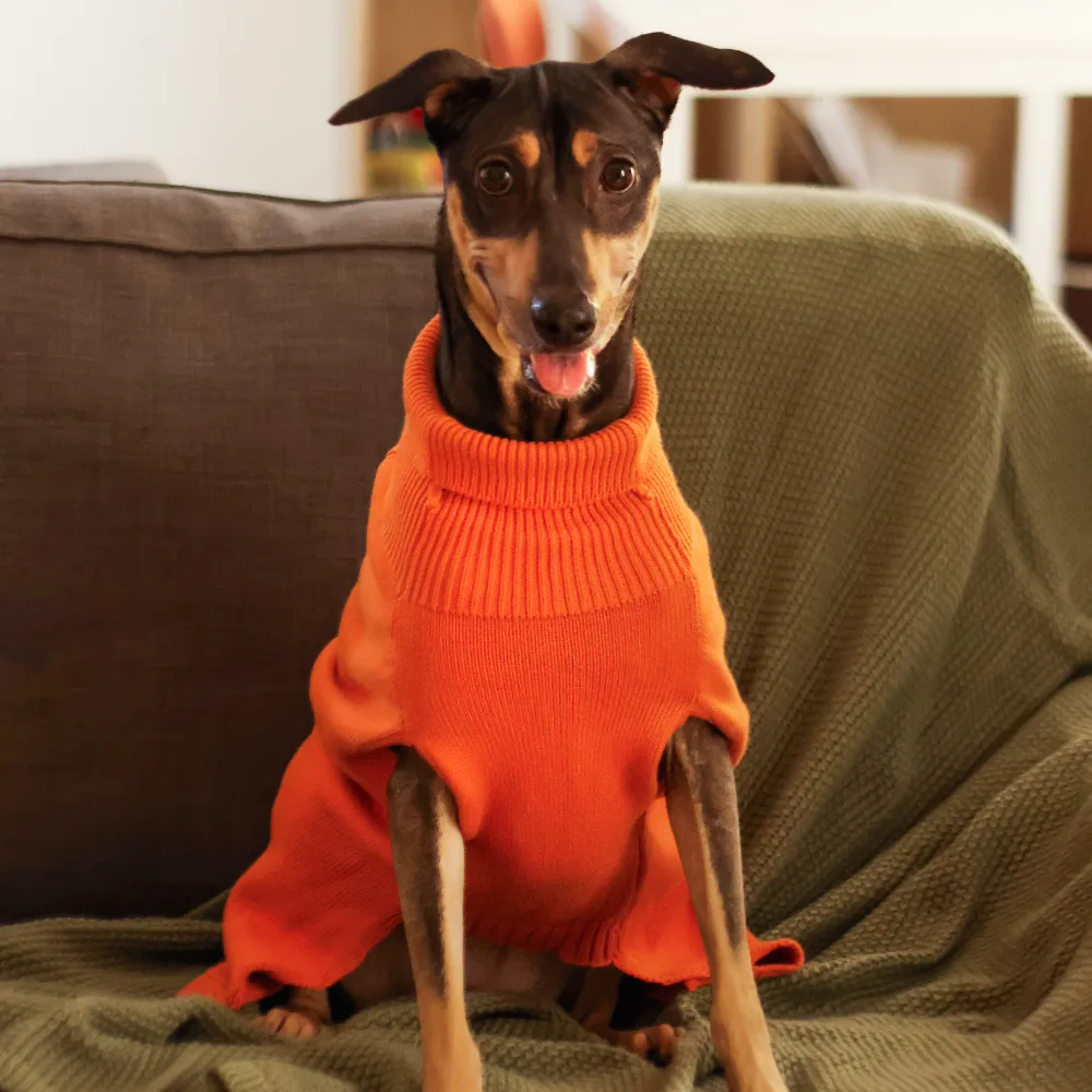 Elsa's Sweater