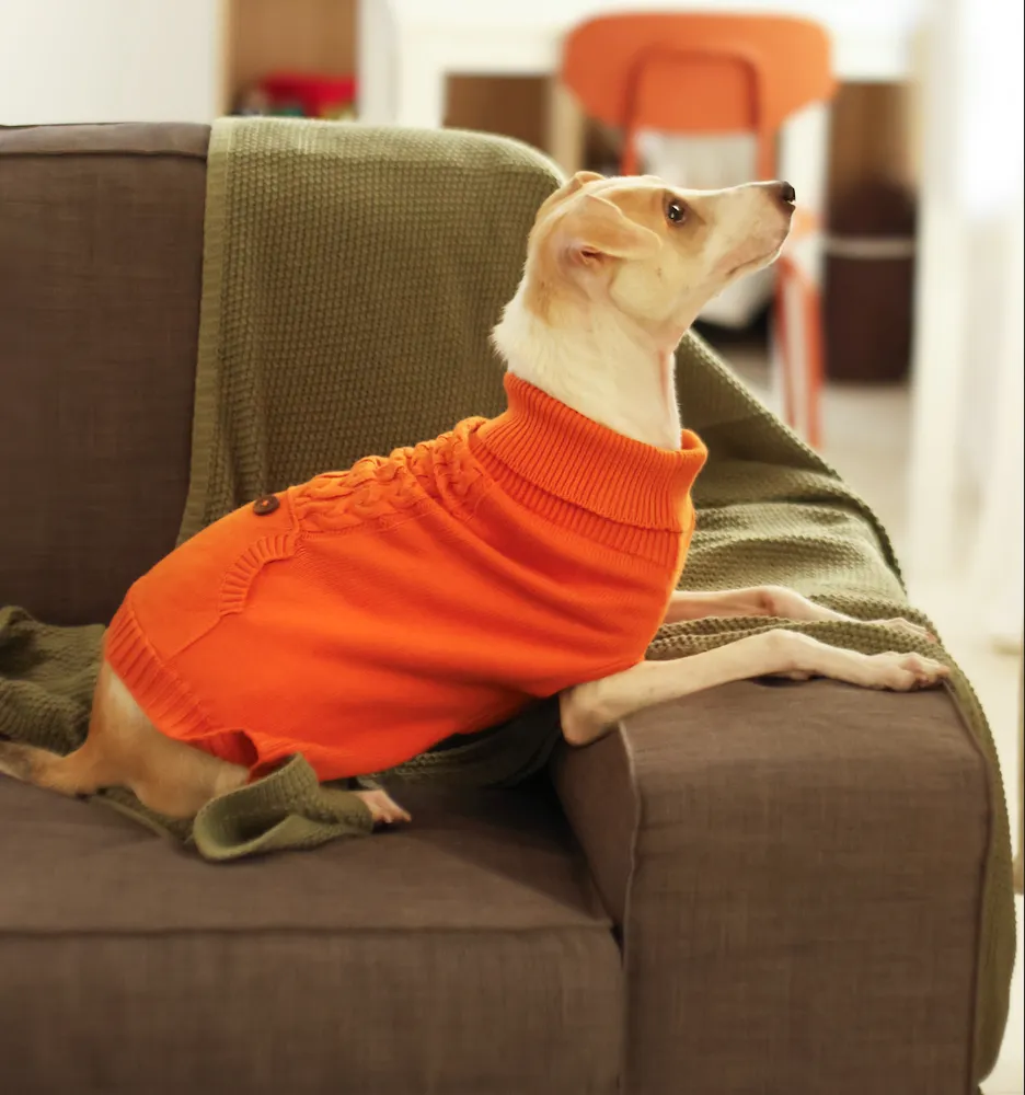 Elsa's Sweater