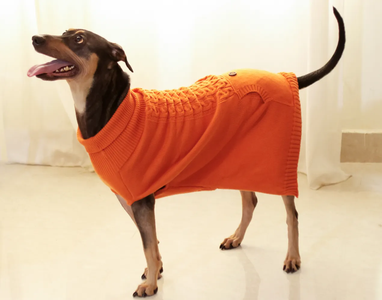 Elsa's Sweater