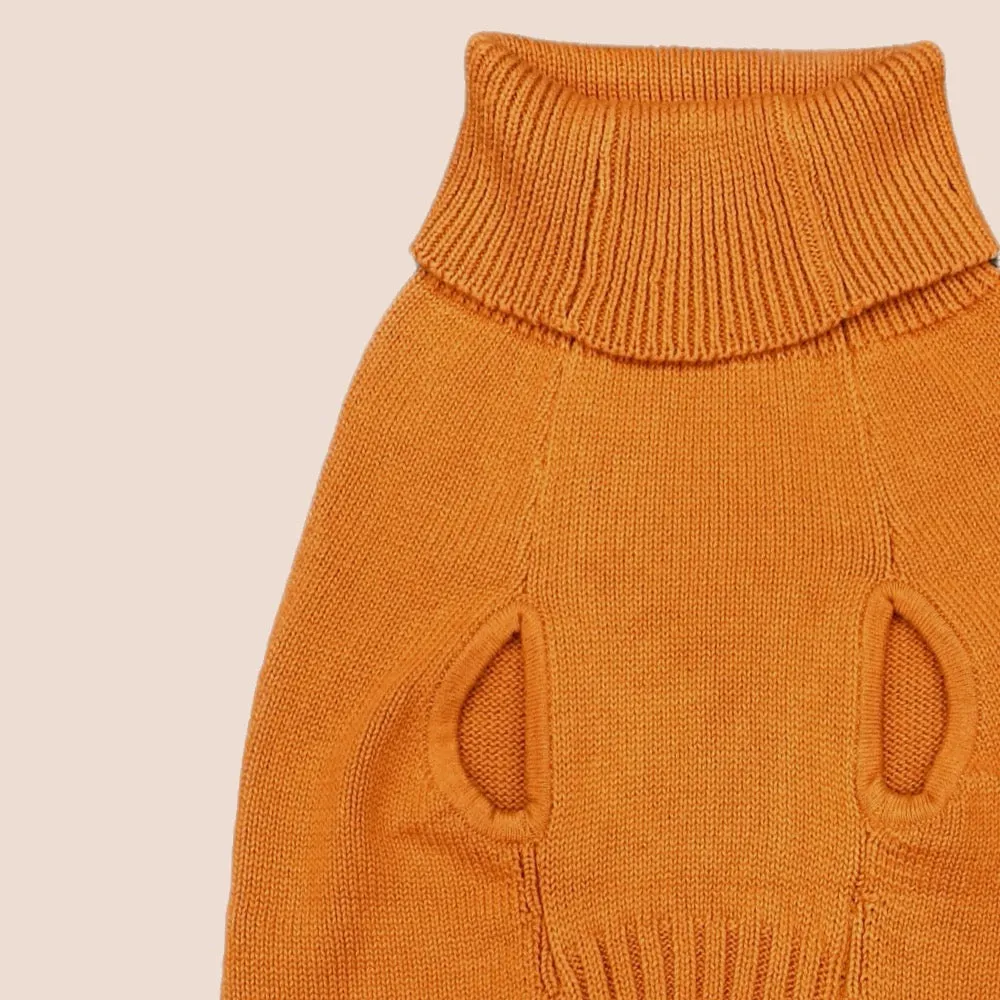 Elsa's Sweater
