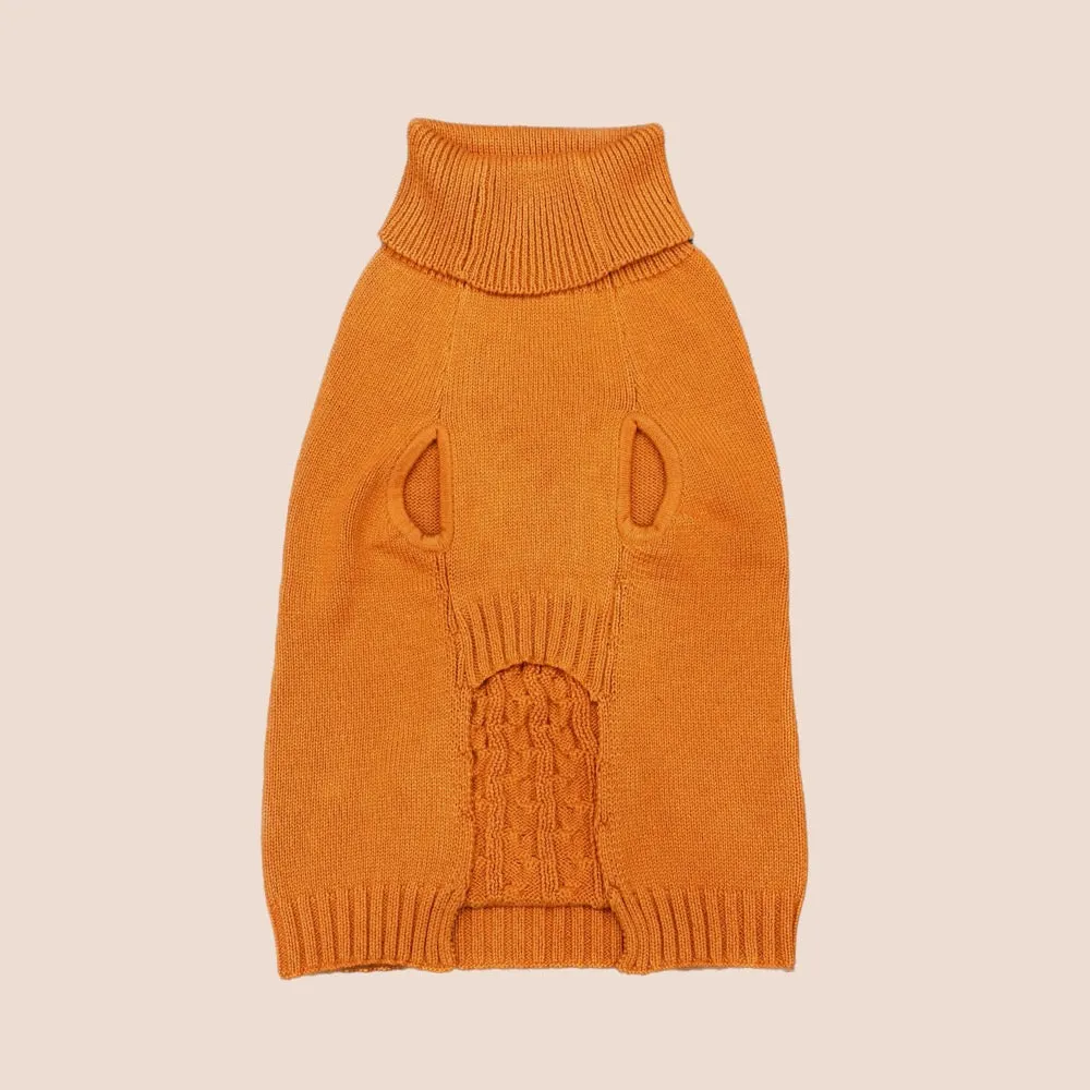 Elsa's Sweater