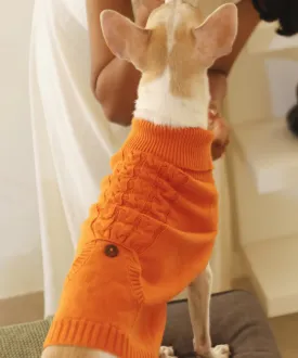 Elsa's Sweater