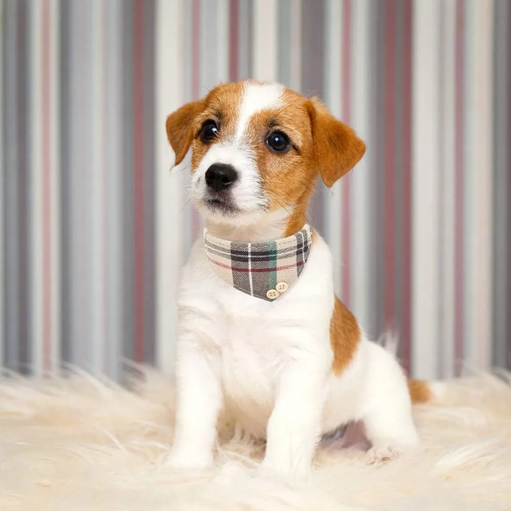 EXPAWLORER Dog Collar and Leash Set - Classic Plaid Puppy Bow Tie and Cat Bandana Collar with Bell, Pet Leash Tangle Free, Adjustable for Small Medium Large Pets, Holiday Ideal Gift