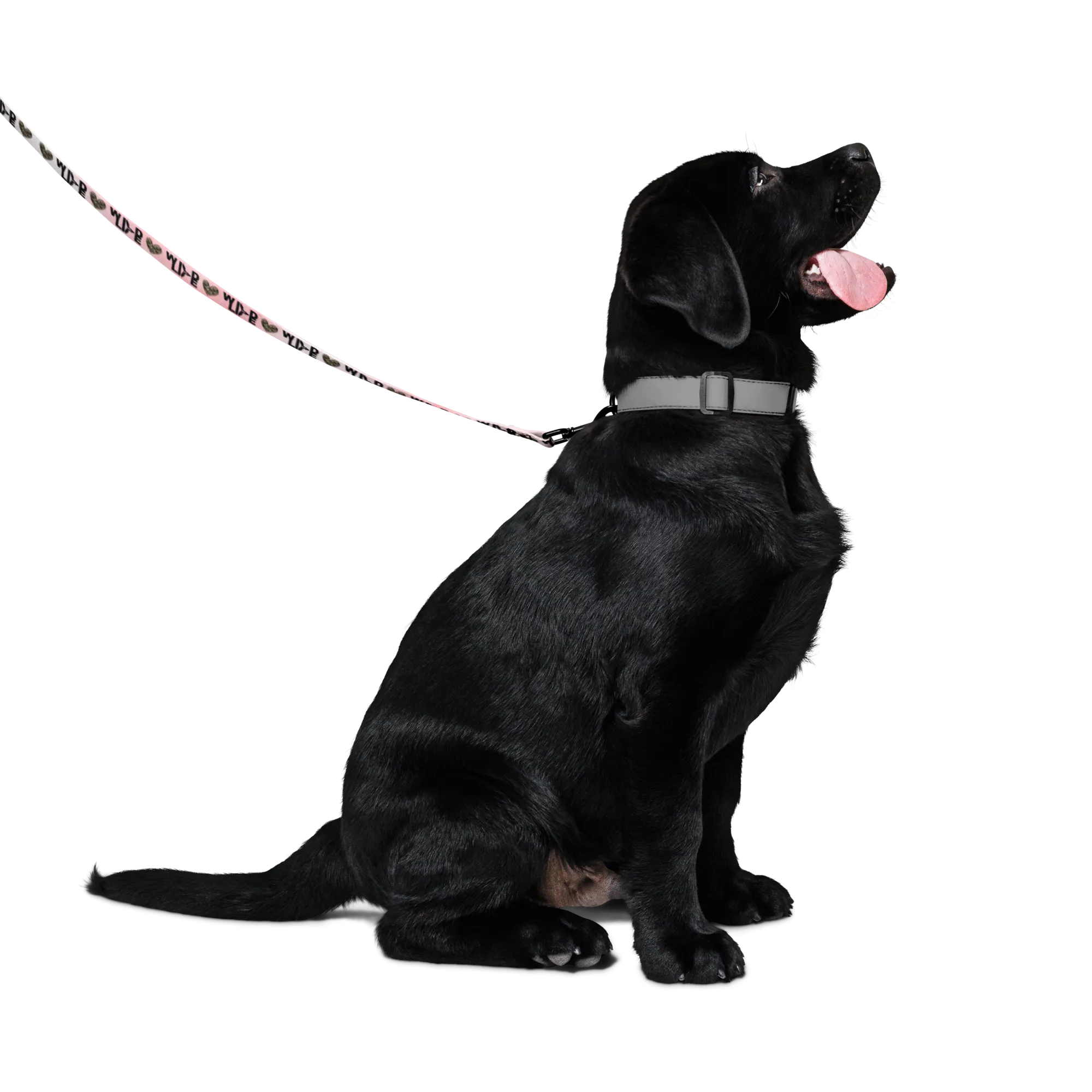 Florida Wildlife with Camo Heart Pink Tie Dye Pet leash by Crystalyn